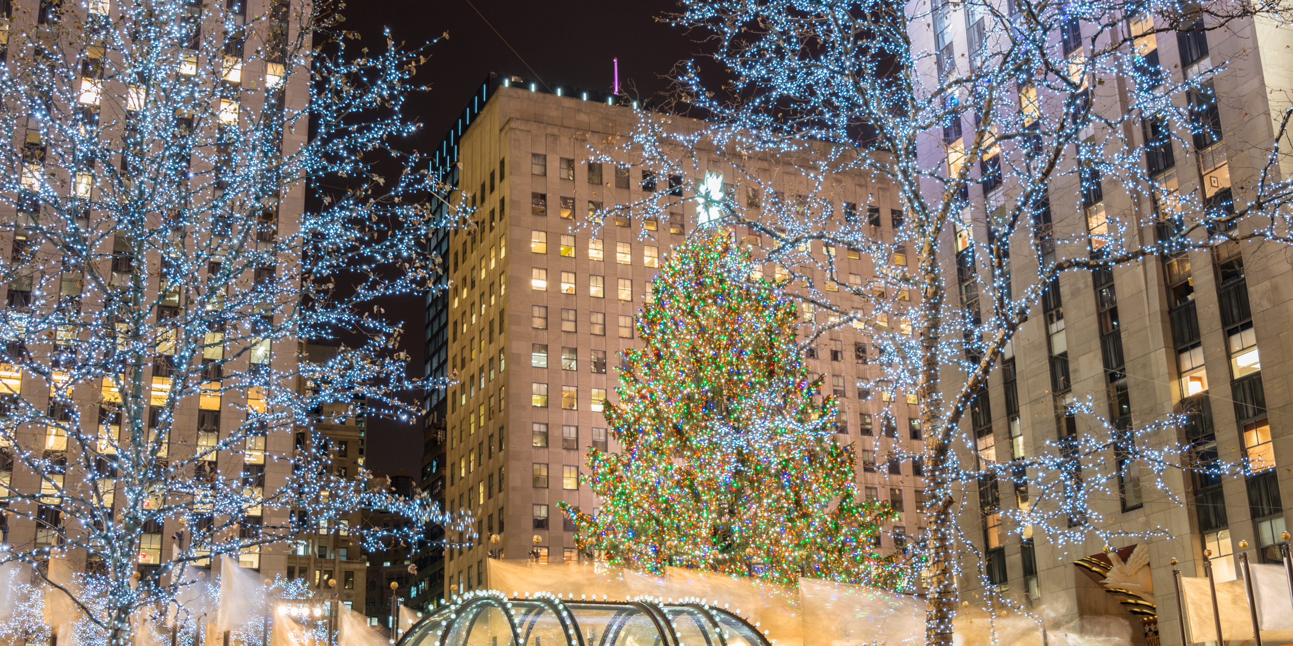 A Winter Wonderland: Experiencing the Magic of Christmas in New York C – My passport to the world